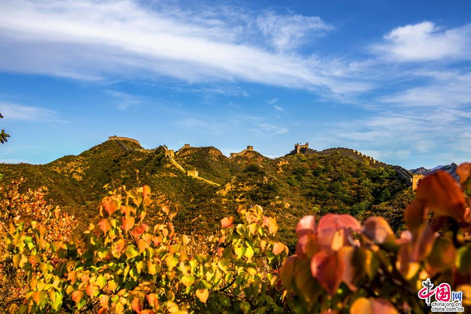 秋染长城金山岭 醉是一年好时光（组图）