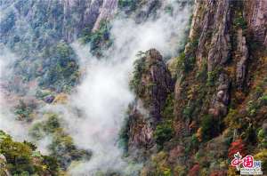 黄山：秋色遇上云海 如同色彩浓郁的天然油画